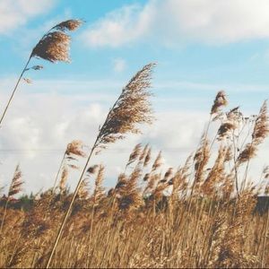 Meet your Posher, Aisha